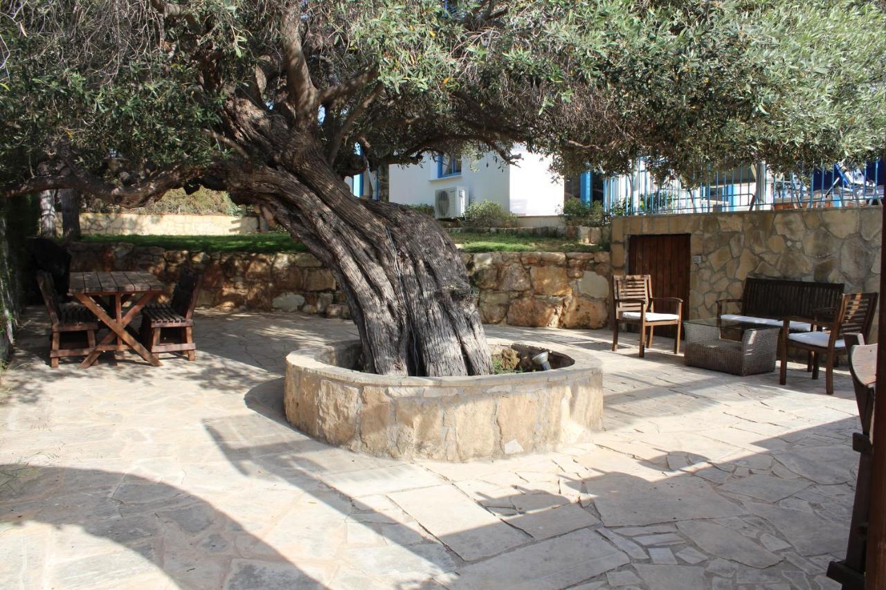 Olive Beach Villa Peyia Exterior foto